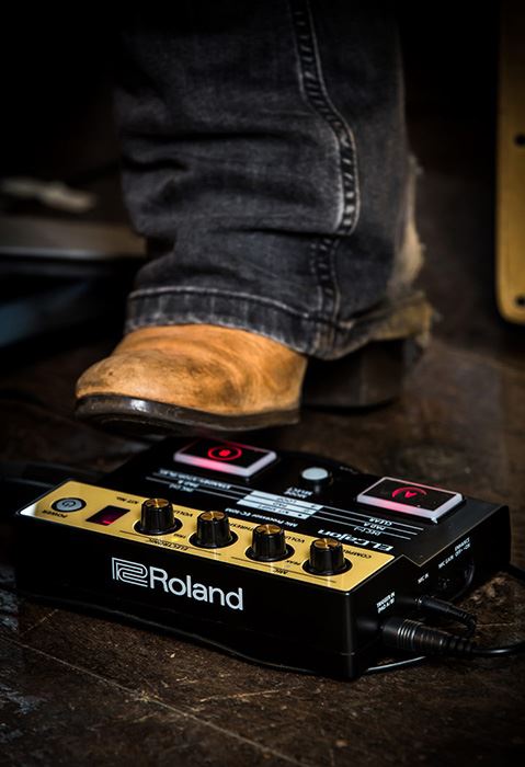 картинка Roland EC-10M от магазина Multimusic