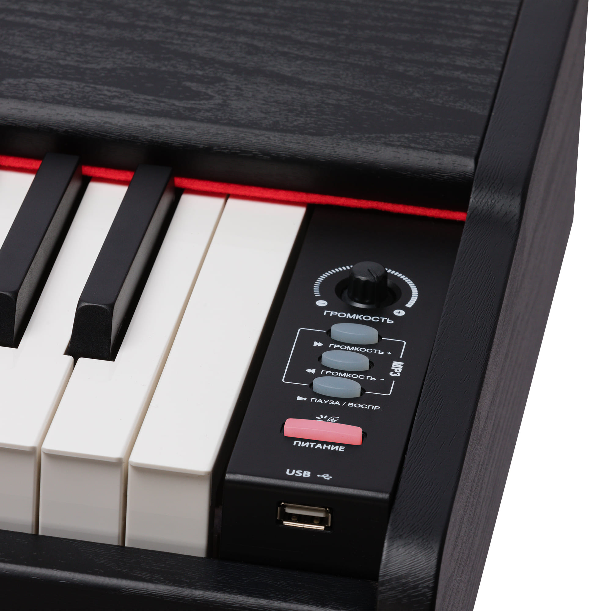 картинка ROCKDALE KEYS RDP-3088 магазин Multimusic являющийся официальным дистрибьютором в России картинка ROCKDALE KEYS RDP-3088 от магазина Multimusic