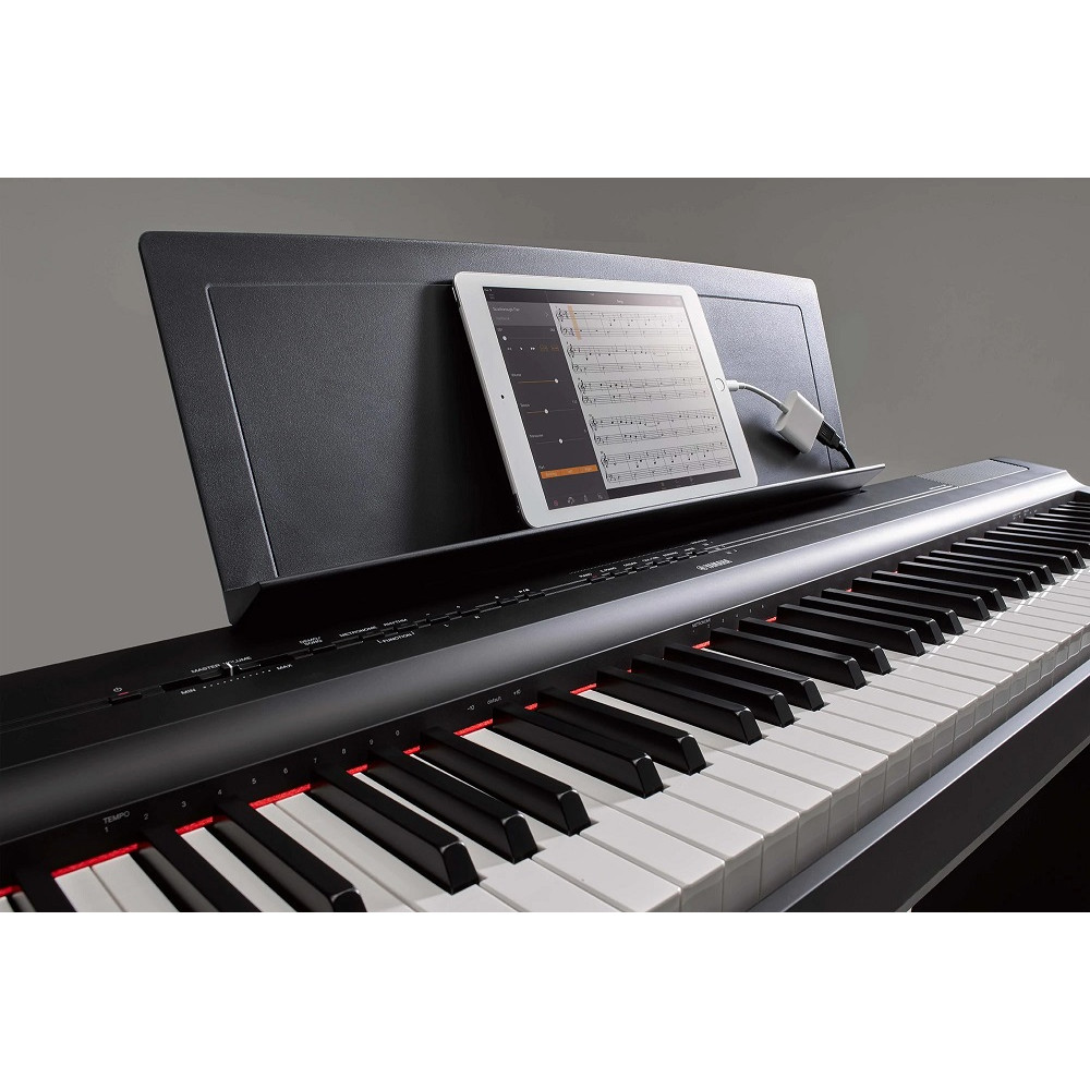 картинка YAMAHA P-125AB магазин Multimusic являющийся официальным дистрибьютором в России картинка YAMAHA P-125AB от магазина Multimusic