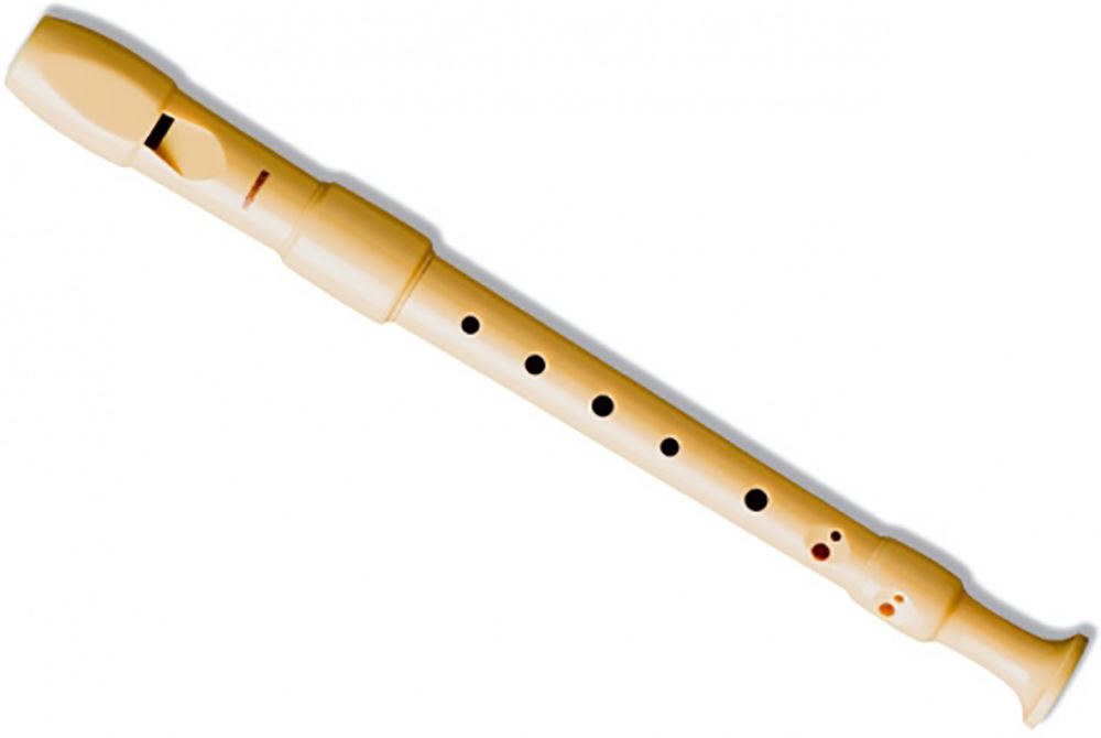 картинка Hohner B9517 от магазина Multimusic
