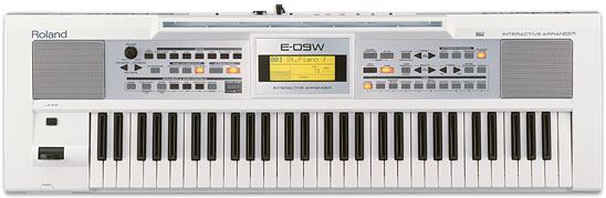 картинка Roland E-09 WH магазин Multimusic являющийся официальным дистрибьютором в России картинка Roland E-09 WH от магазина Multimusic