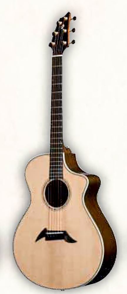 картинка Breedlove American Gold C25/CRe-H от магазина Multimusic