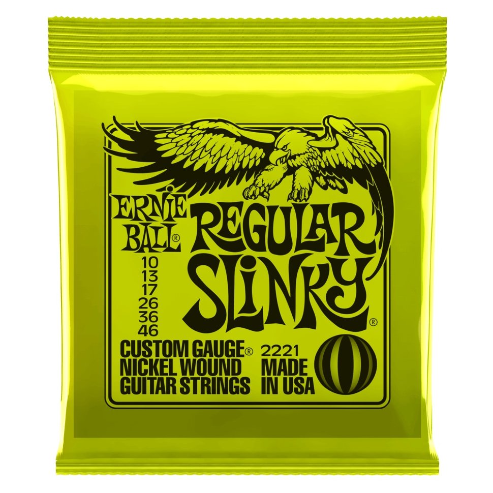 картинка Ernie Ball 2221 от магазина Multimusic