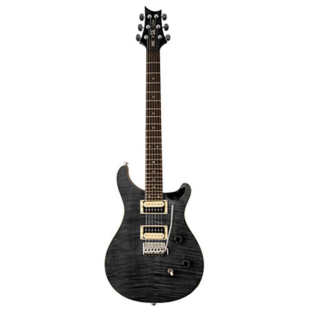 картинка PRS SE Custom 24 GB от магазина Multimusic