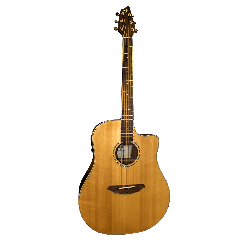 картинка Breedlove Atlas Studio D250/SRe от магазина Multimusic