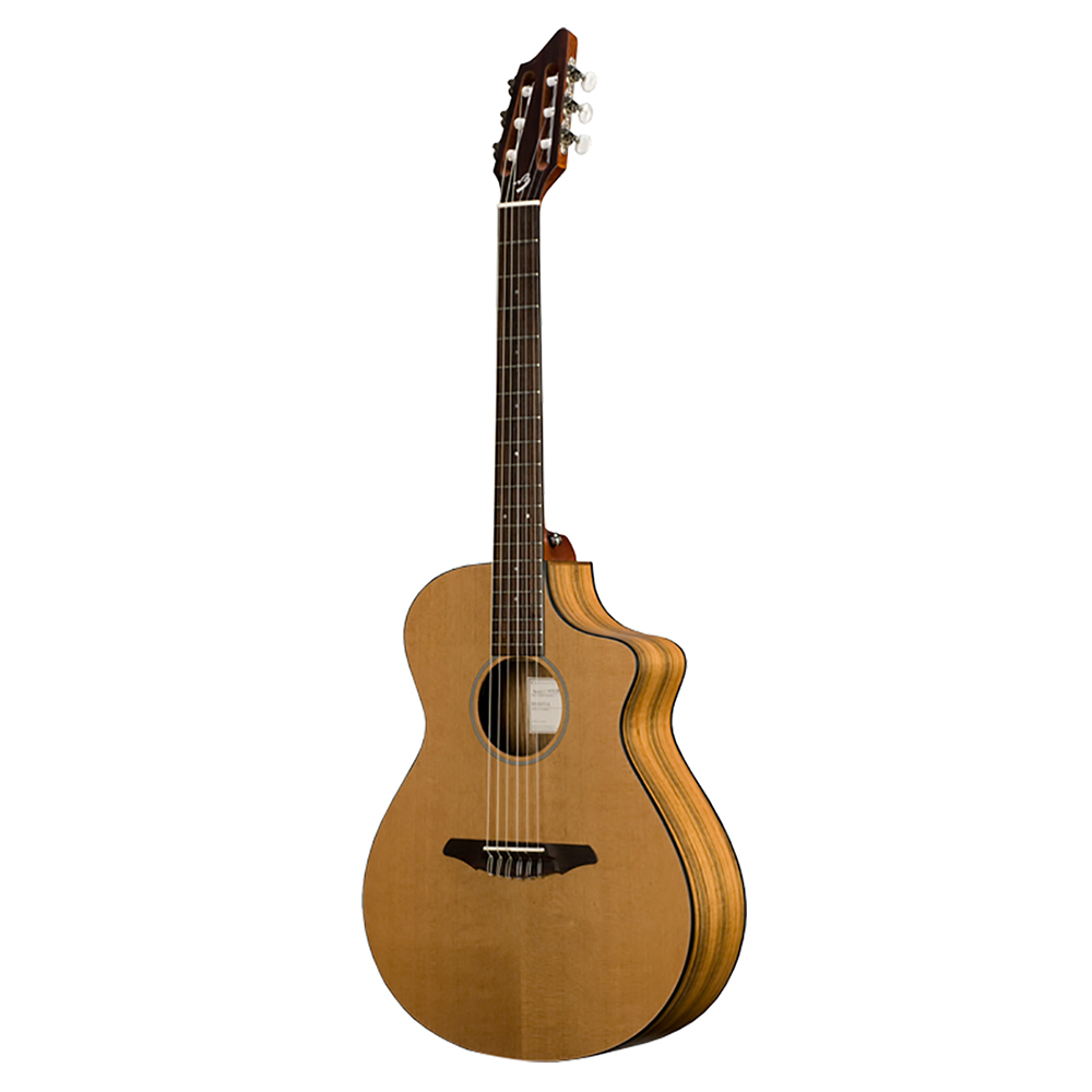 картинка Breedlove Passport N250/COe от магазина Multimusic