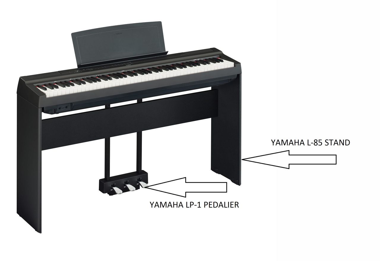 картинка YAMAHA P-125AB магазин Multimusic являющийся официальным дистрибьютором в России картинка YAMAHA P-125AB от магазина Multimusic