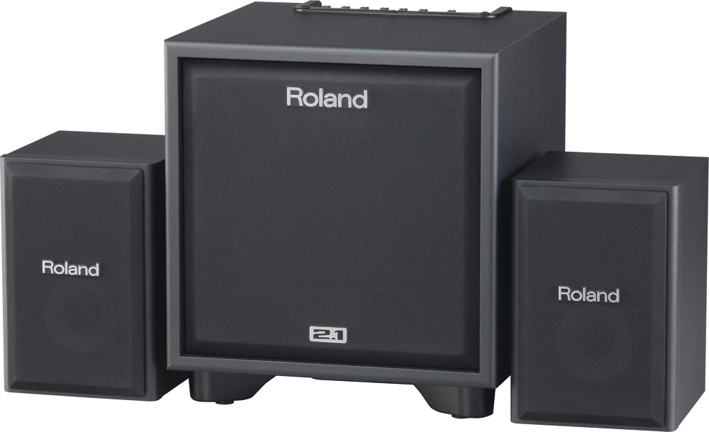 картинка Roland CUBE-MONITOR-220 от магазина Multimusic