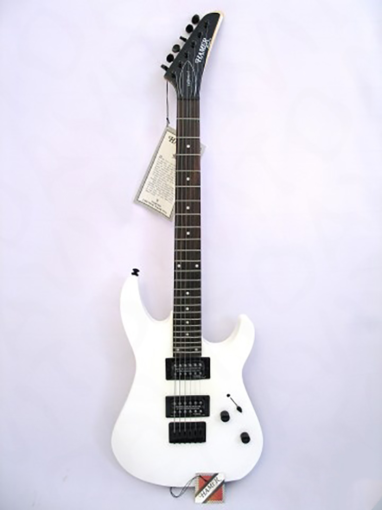 картинка HamerXT CX2R WHK от магазина Multimusic