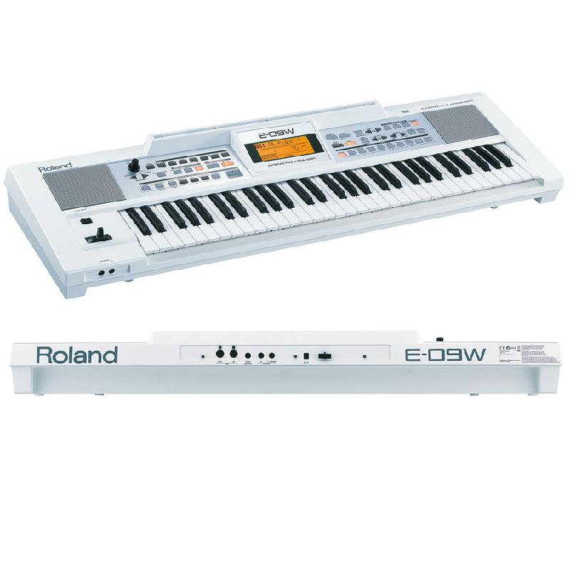 картинка Roland E-09 WH магазин Multimusic являющийся официальным дистрибьютором в России картинка Roland E-09 WH от магазина Multimusic