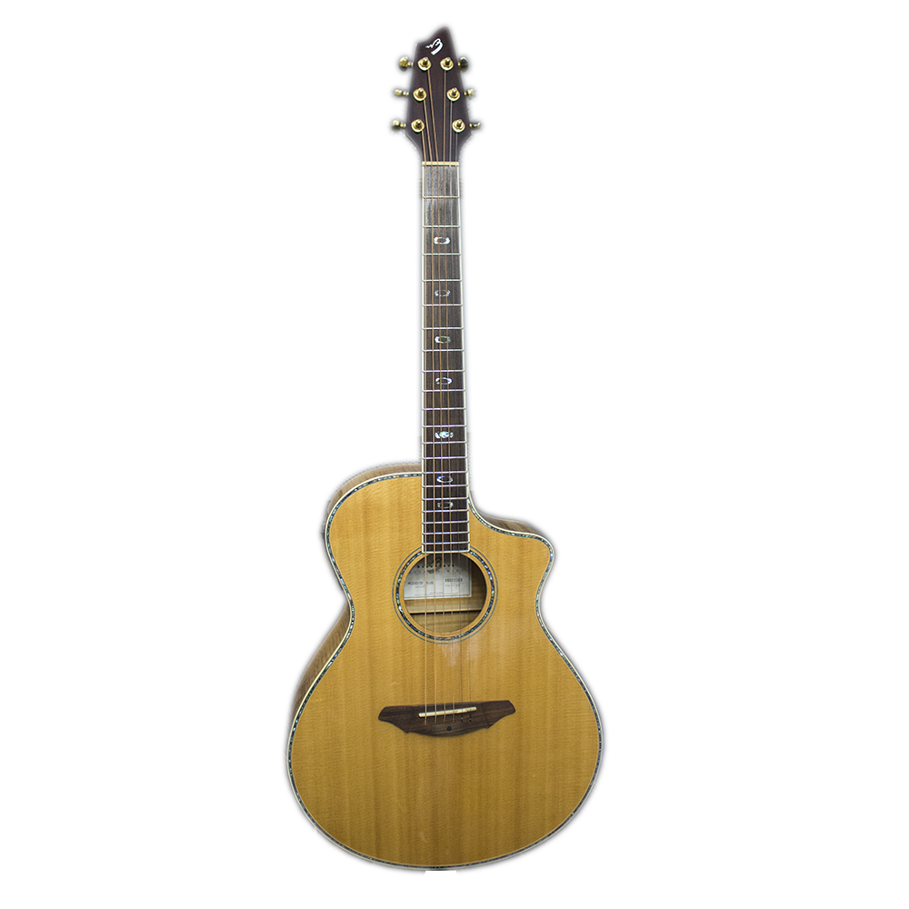 картинка Breedlove Atlas AC250/SF Plus от магазина Multimusic