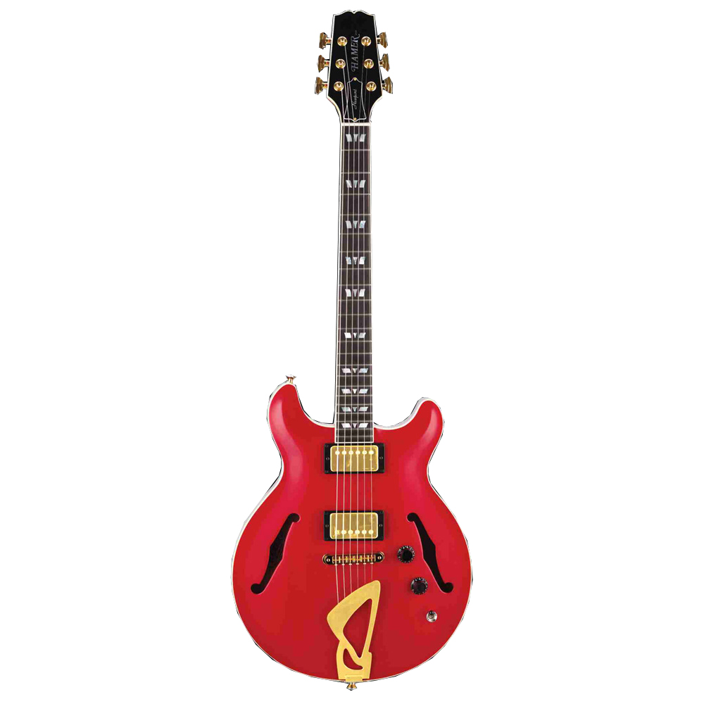 картинка Hamer USA Newport PRO Custom RR от магазина Multimusic