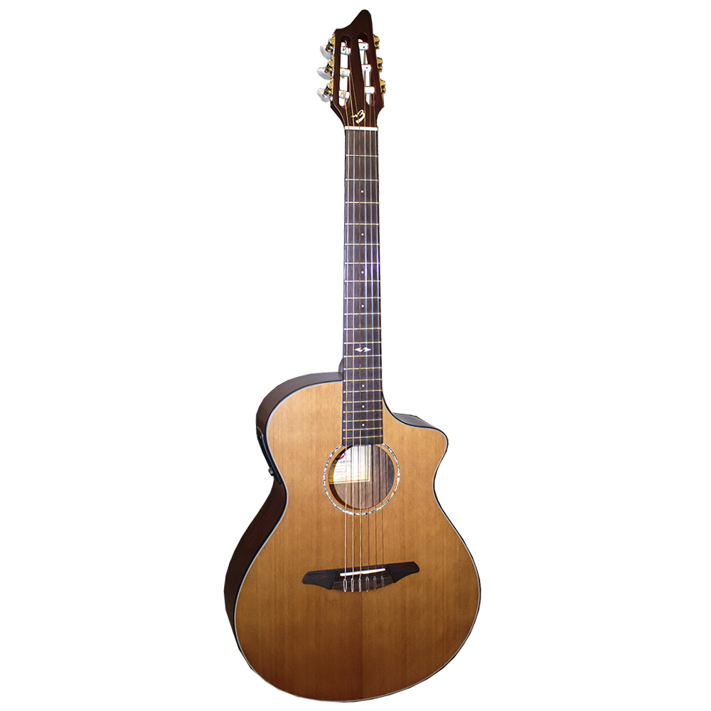 картинка Breedlove Atlas Studio N250/Cre от магазина Multimusic