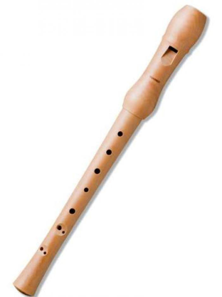 картинка Hohner B9560 от магазина Multimusic