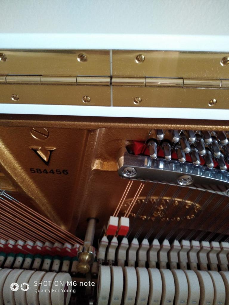 картинка Steinway & Sons V-125 магазин Multimusic являющийся официальным дистрибьютором в России картинка Steinway & Sons V-125 от магазина Multimusic